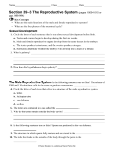 Section 39–3 The Reproductive System (pages 1009