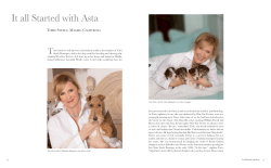 It all Started with Asta - The American Dog at Home, The Dog