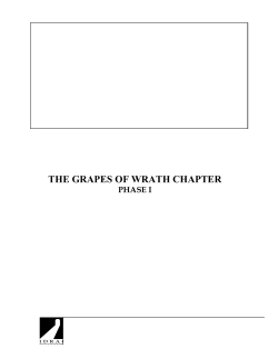 THE GRAPES OF WRATH CHAPTER
