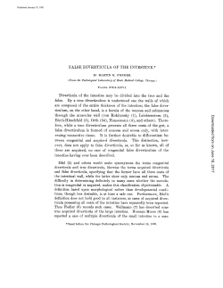 FALSE DIVERTICULA OF THE INTESTINE