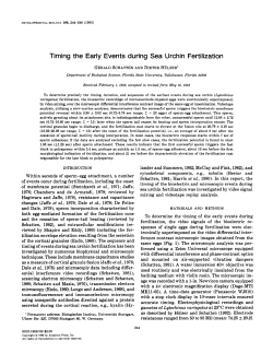 Timing the Early Events during Sea Urchin Fertilization