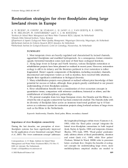 Restoration strategies for river floodplains along large lowland rivers