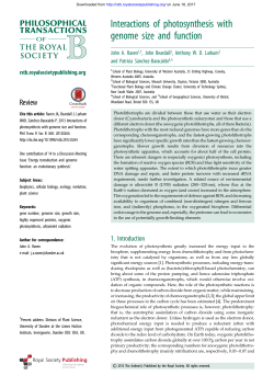 Interactions of photosynthesis with genome size and function