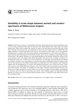 Variability in scale shape between ancient and modern specimens