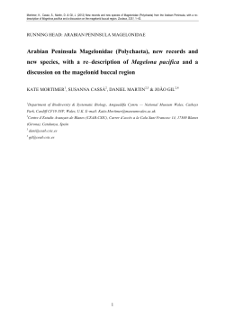 Arabian Peninsula Magelonidae Mortimer et al submitted version