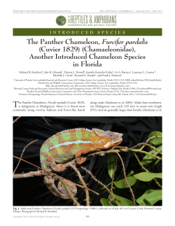 - International Reptile Conservation Foundation