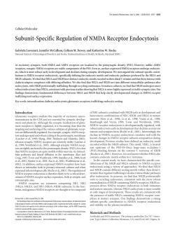 Subunit-Specific Regulation of NMDA Receptor Endocytosis