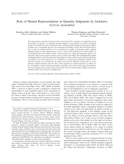 Role of Mental Representations in Quantity Judgments by Jackdaws
