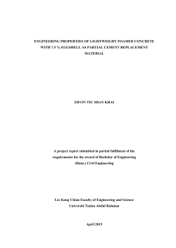 FES Final Year Project Template