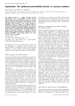 Hypothesis: The epidermal permeability barrier is a porous medium