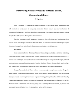 Nitrates, Silicon, Compost and Ginger