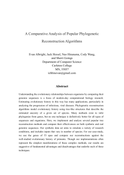 A Comparative Analysis of Popular Phylogenetic Reconstruction