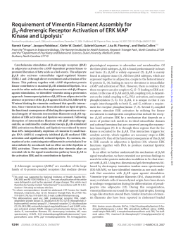 Adrenergic Receptor Activation of ERK MAP Kinase
