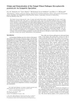 Origin and Domestication of the Fungal Wheat Pathogen