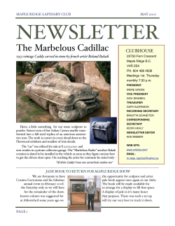 Maple Ridge Lapidary Club