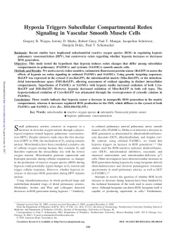 Hypoxia Triggers Subcellular Compartmental Redox Signaling in