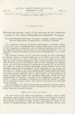 Electron microscopic study of the structure of the contractile vacuole