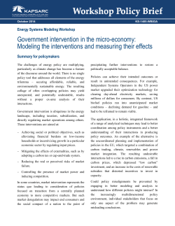 Government intervention in the micro-economy: Modeling