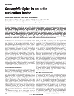 Drosophila Spire is an actin nucleation factor