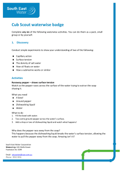 Getting my waterwise badge - South East Water | Water Education
