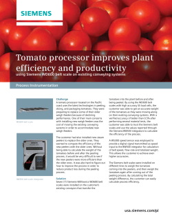 Tomato processor improves plant efficiency and productivity using