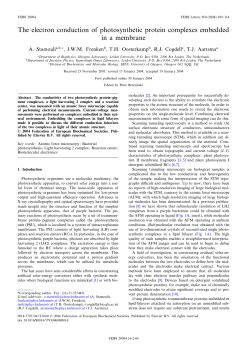 The electron conduction of photosynthetic protein complexes