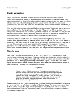 Depth perception - The University of Reading