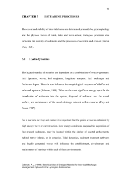 Estuarine Processes Opens new window