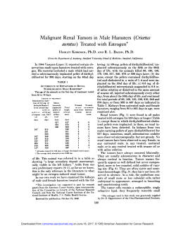 Malignant Renal Tumors in Male Hamsters