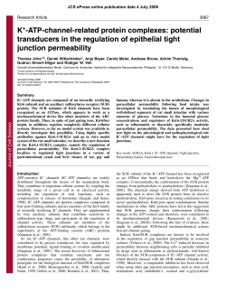 K -ATP-channel-related protein complexes