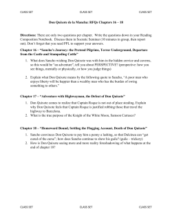 Don Quixote de la Mancha: RFQs Chapters 16 &ndash; 18 Directions