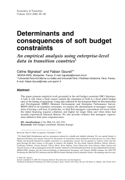 Determinants and consequences of soft budget
