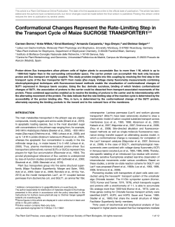Conformational Changes Represent the Rate