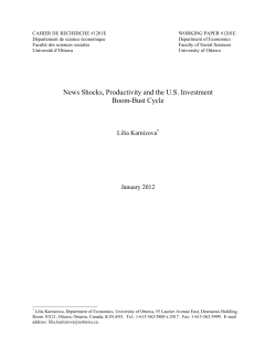 News Shocks, Productivity and the U.S. Investment Boom
