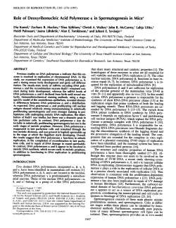 Role of Deoxyribonucleic Acid Polymerase E in Spermatogenesis in