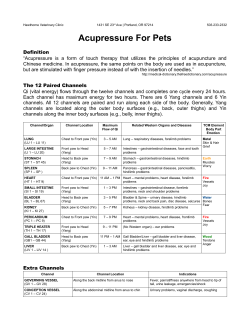 Acupressure For Pets - Hawthorne Veterinary Clinic