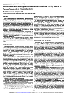 Enhancement of 06-Methylguanine-DNA