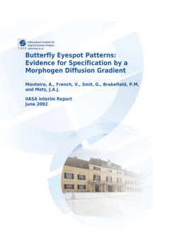 Butterfly Eyespot Patterns: Evidence for Specification by a