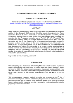 276 ULTRASONOGRAPHY STUDY OF RABBITS PREGNANCY