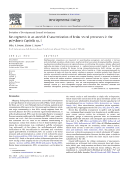 PDF - WordPress @ Clark U