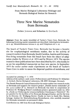 Original description (NemasLan)