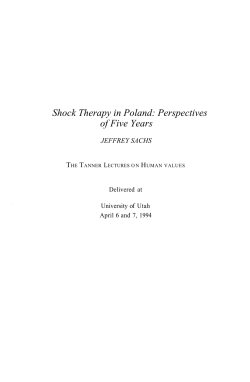 Shock Therapy in Poland: Perspectives of Five Years