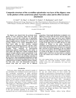 Composite structure of the crystalline epicuticular wax layer of the