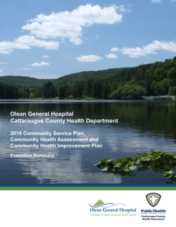 Community Health Assessment Executive Summary
