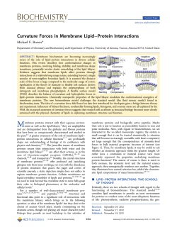 Curvature Forces in Membrane Lipid&ndash;Protein Interactions