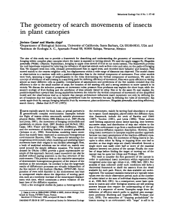 The geometry of search movements of insects in