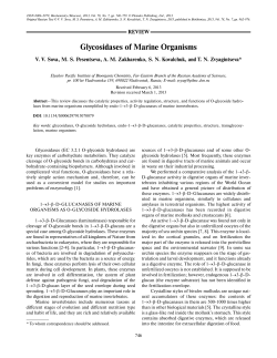 Glycosidases of Marine Organisms