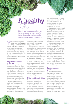 A healthy gut
