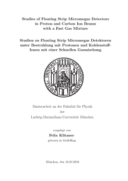 master_fklitzner - Elementary Particle Physics