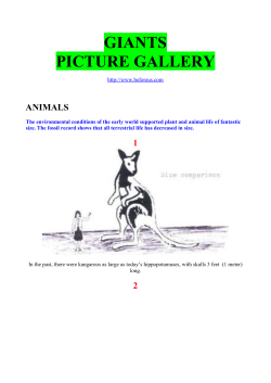 giants picture gallery